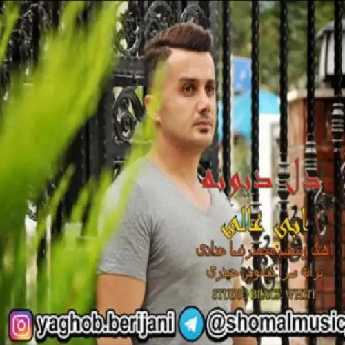 دل دیوونه